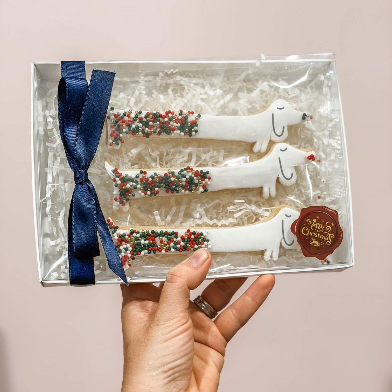 Dachshund through the snow