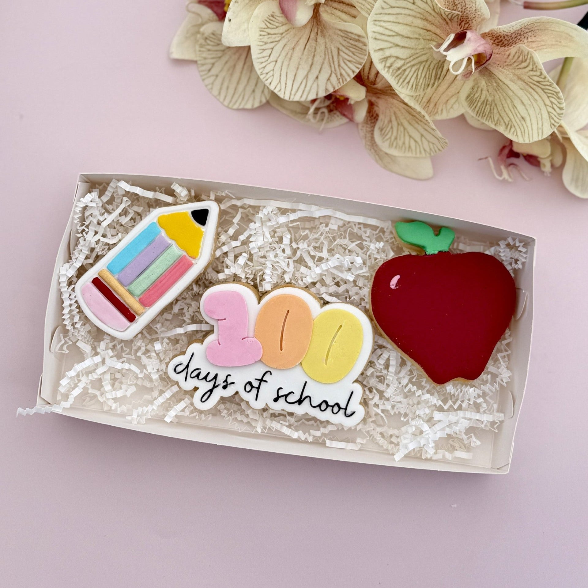 100 Days of School Cookie Gift Pack