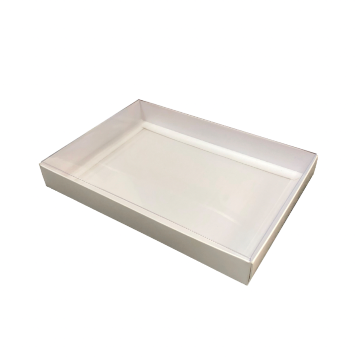 Dachshund through the snow